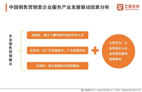 2021上半年中國企業(yè)服務(wù)專題研究報告 信息咨詢服務(wù)的發(fā)展與變革